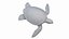 Green Sea Turtle model