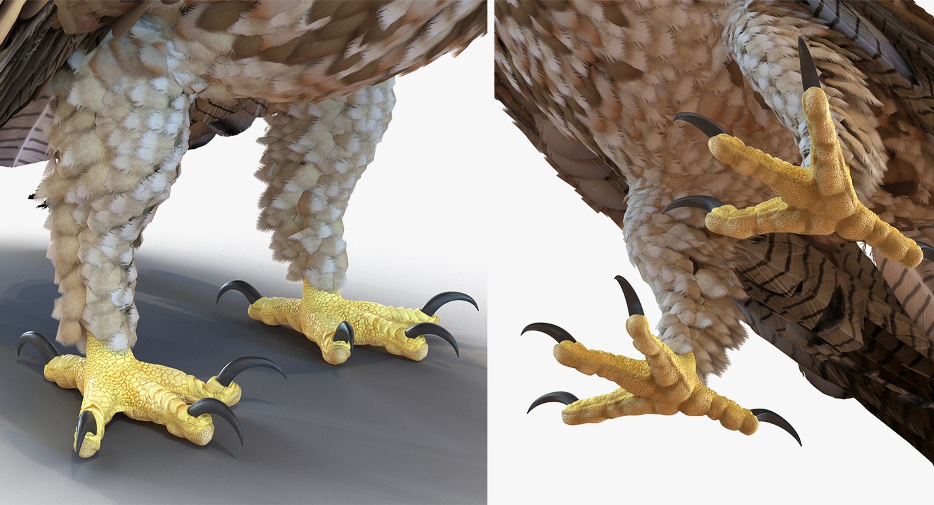 Rigged Birds Collection 4 3D model https://p.turbosquid.com/ts-thumb/Fa/es2qtE/0c/riggedbirdscollection4mb3dmodel101/jpg/1672315139/1920x1080/fit_q87/f53020d8dc89122d0b2ff255d65af38439f38f88/riggedbirdscollection4mb3dmodel101.jpg