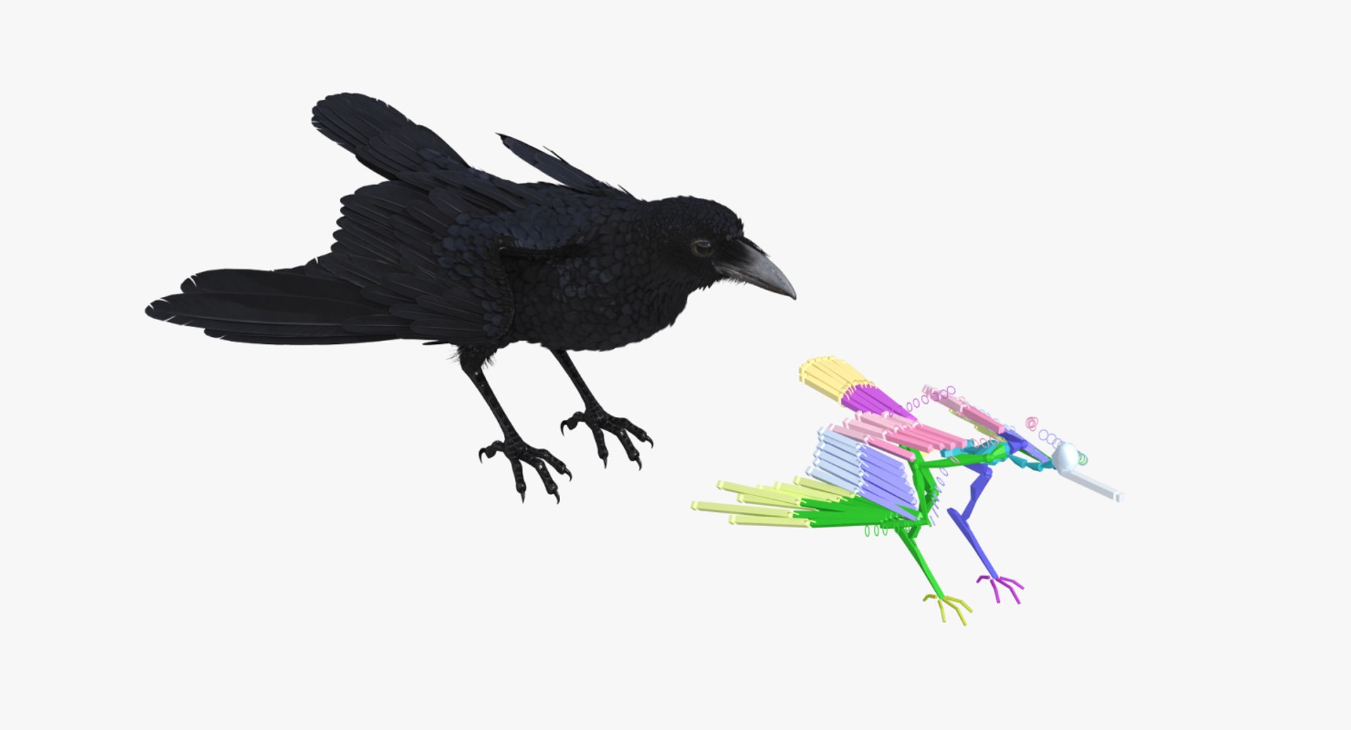 Rigged Birds Collection 4 3D model https://p.turbosquid.com/ts-thumb/Fa/es2qtE/3v/riggedbirdscollection4mb3dmodel080/jpg/1672315076/1920x1080/fit_q87/01edfe8ee737eb32ee92eb4ff37b037fc704ed64/riggedbirdscollection4mb3dmodel080.jpg