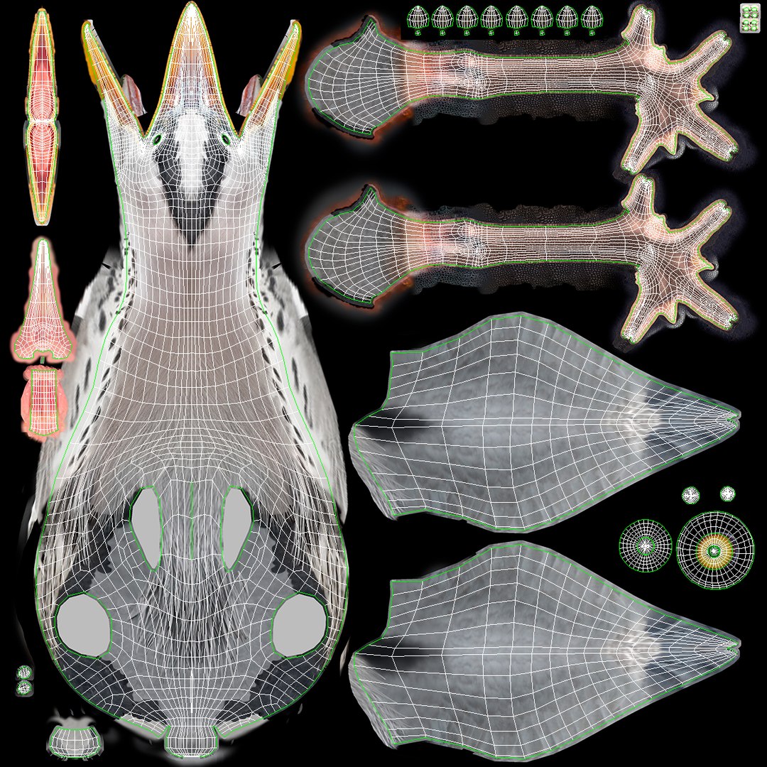Rigged Birds Collection 4 3D model https://p.turbosquid.com/ts-thumb/Fa/es2qtE/43/riggedbirdscollection4mb3dmodel102/jpg/1672315143/1920x1080/fit_q87/c29310c0354dde615a3fad7a20d7b0d7f845f9f1/riggedbirdscollection4mb3dmodel102.jpg