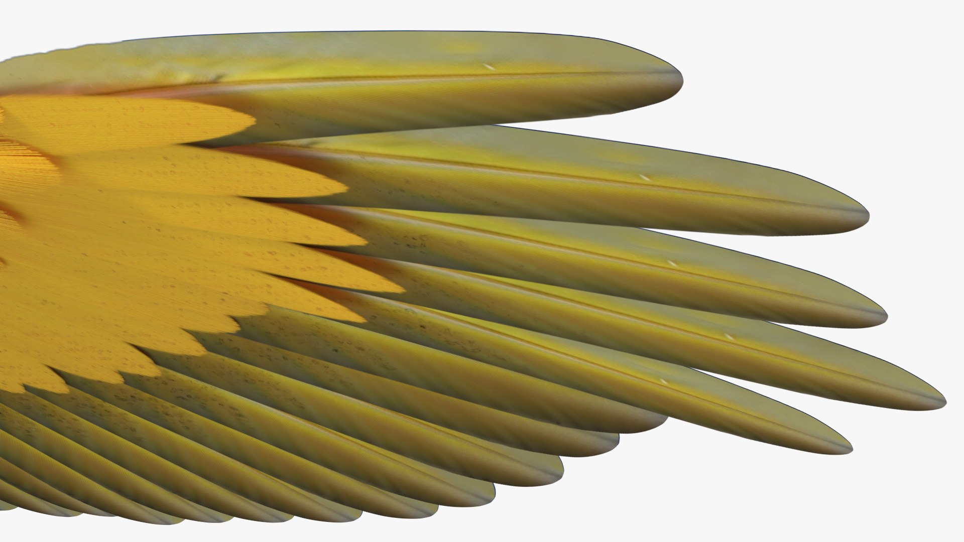 Rigged Birds Collection 4 3D model https://p.turbosquid.com/ts-thumb/Fa/es2qtE/54/riggedbirdscollection4mb3dmodel047/jpg/1672314977/1920x1080/fit_q87/81a249c6d030f619236aaaa326c60485fd630fec/riggedbirdscollection4mb3dmodel047.jpg