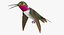 Collection d'oiseaux truqués 4