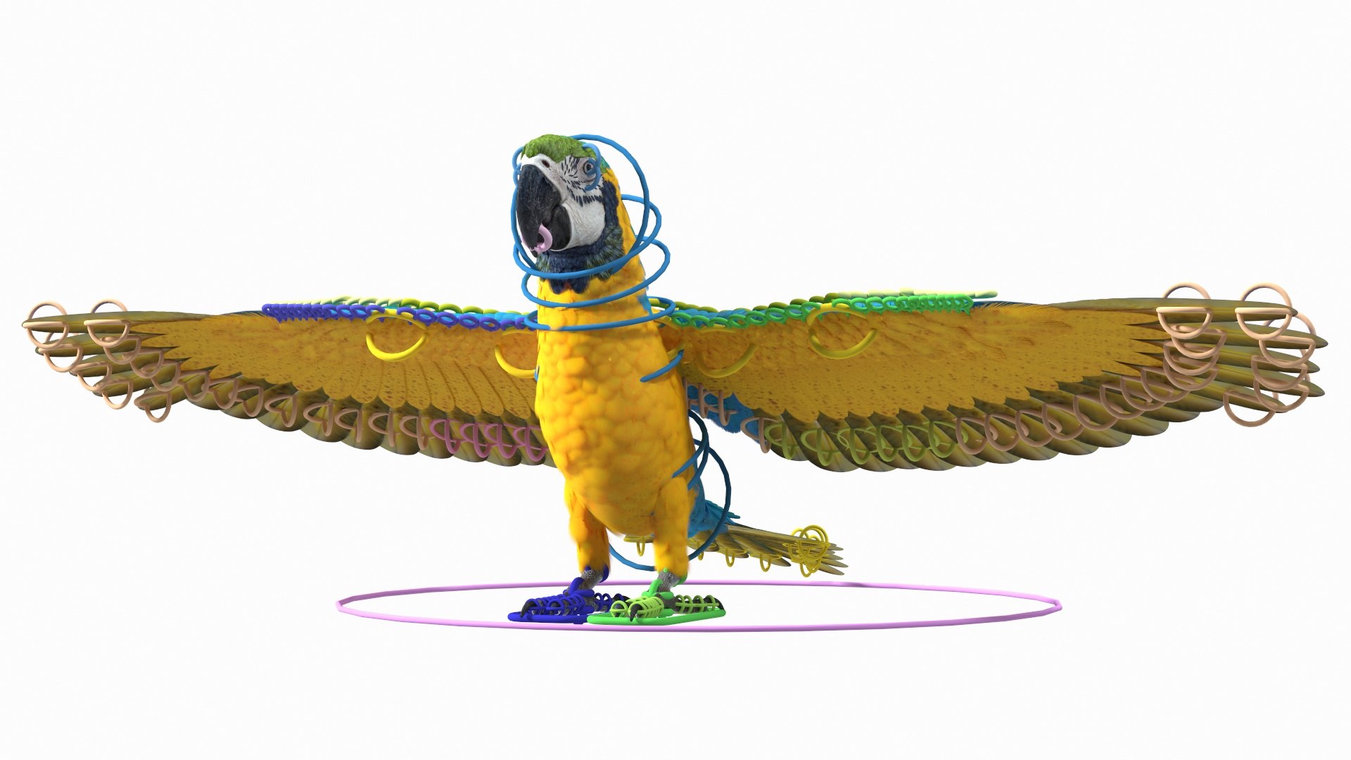 Rigged Birds Collection 4 3D model https://p.turbosquid.com/ts-thumb/Fa/es2qtE/5L/riggedbirdscollection4mb3dmodel039/jpg/1672314953/1920x1080/fit_q87/1db34096198cda653a3aba8623a05370fd4d73f6/riggedbirdscollection4mb3dmodel039.jpg