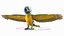 Collection d'oiseaux truqués 4