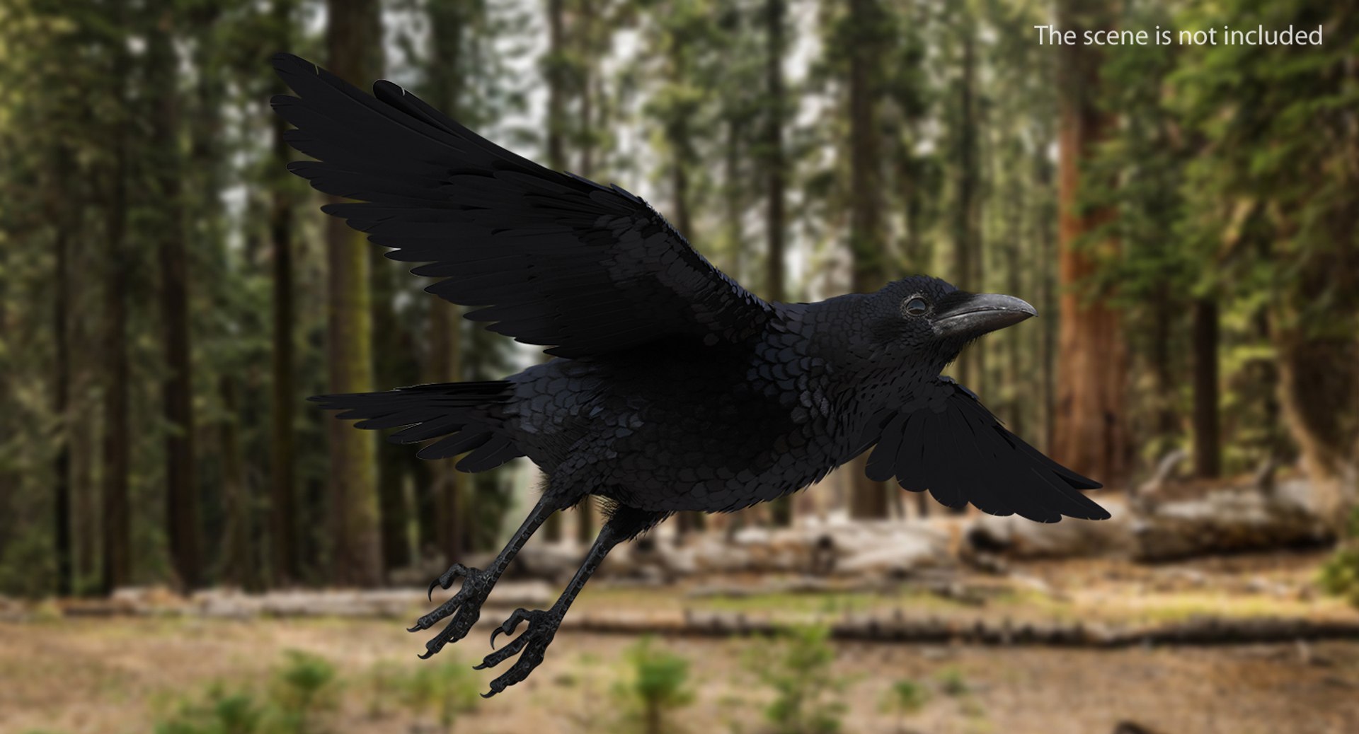 Rigged Birds Collection 4 3D model https://p.turbosquid.com/ts-thumb/Fa/es2qtE/91/riggedbirdscollection4mb3dmodel075/jpg/1672315061/1920x1080/fit_q87/c4a5bd455457c3e94c6710b783ad6e8f5004623a/riggedbirdscollection4mb3dmodel075.jpg