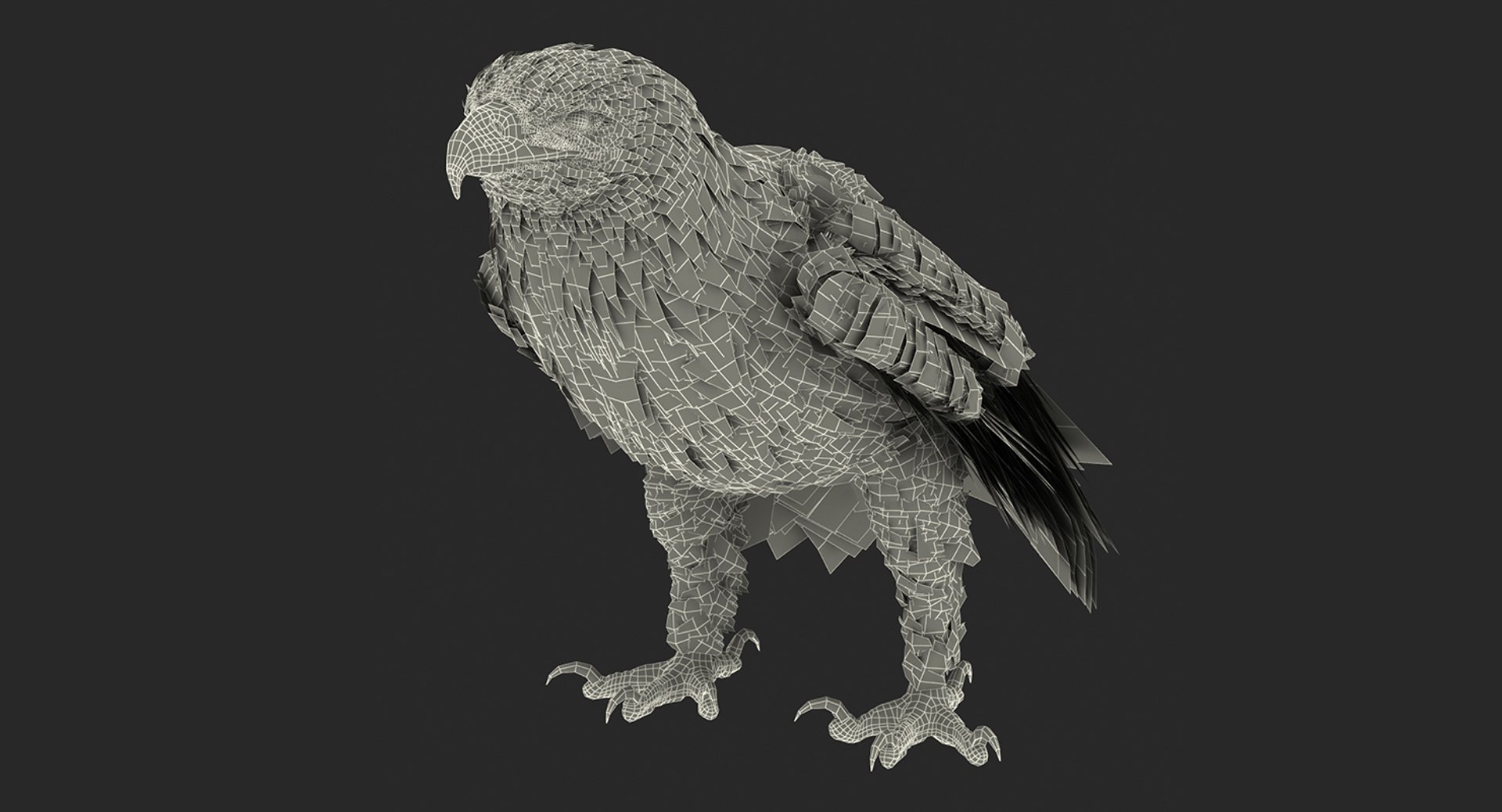 Rigged Birds Collection 4 3D model https://p.turbosquid.com/ts-thumb/Fa/es2qtE/BE/riggedbirdscollection4mb3dmodel111/jpg/1672315170/1920x1080/fit_q87/d5e3cca49b5e2e4190b8cd03b41d652d0a26e4ff/riggedbirdscollection4mb3dmodel111.jpg