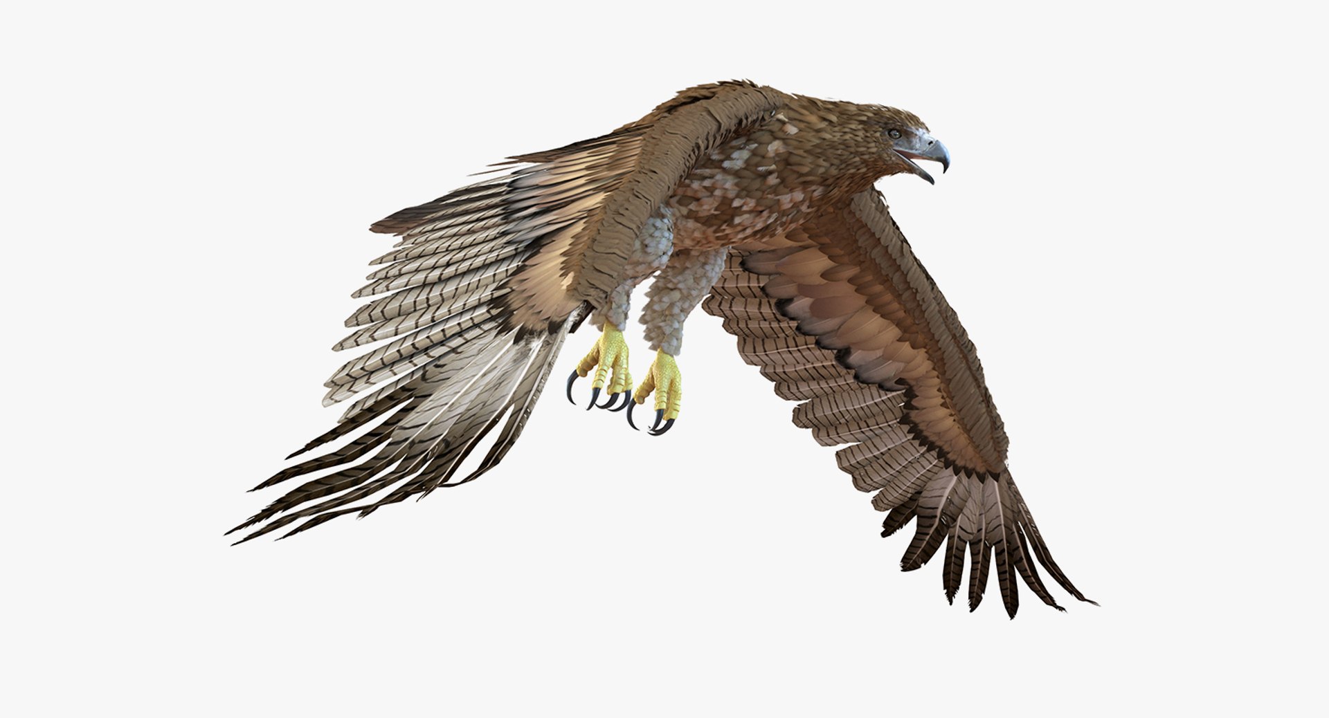 Rigged Birds Collection 4 3D model https://p.turbosquid.com/ts-thumb/Fa/es2qtE/J9/riggedbirdscollection4mb3dmodel097/jpg/1672315127/1920x1080/fit_q87/4d45594f2b8a4f2709b21bb539c982700de827ed/riggedbirdscollection4mb3dmodel097.jpg