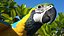 Collection d'oiseaux truqués 4