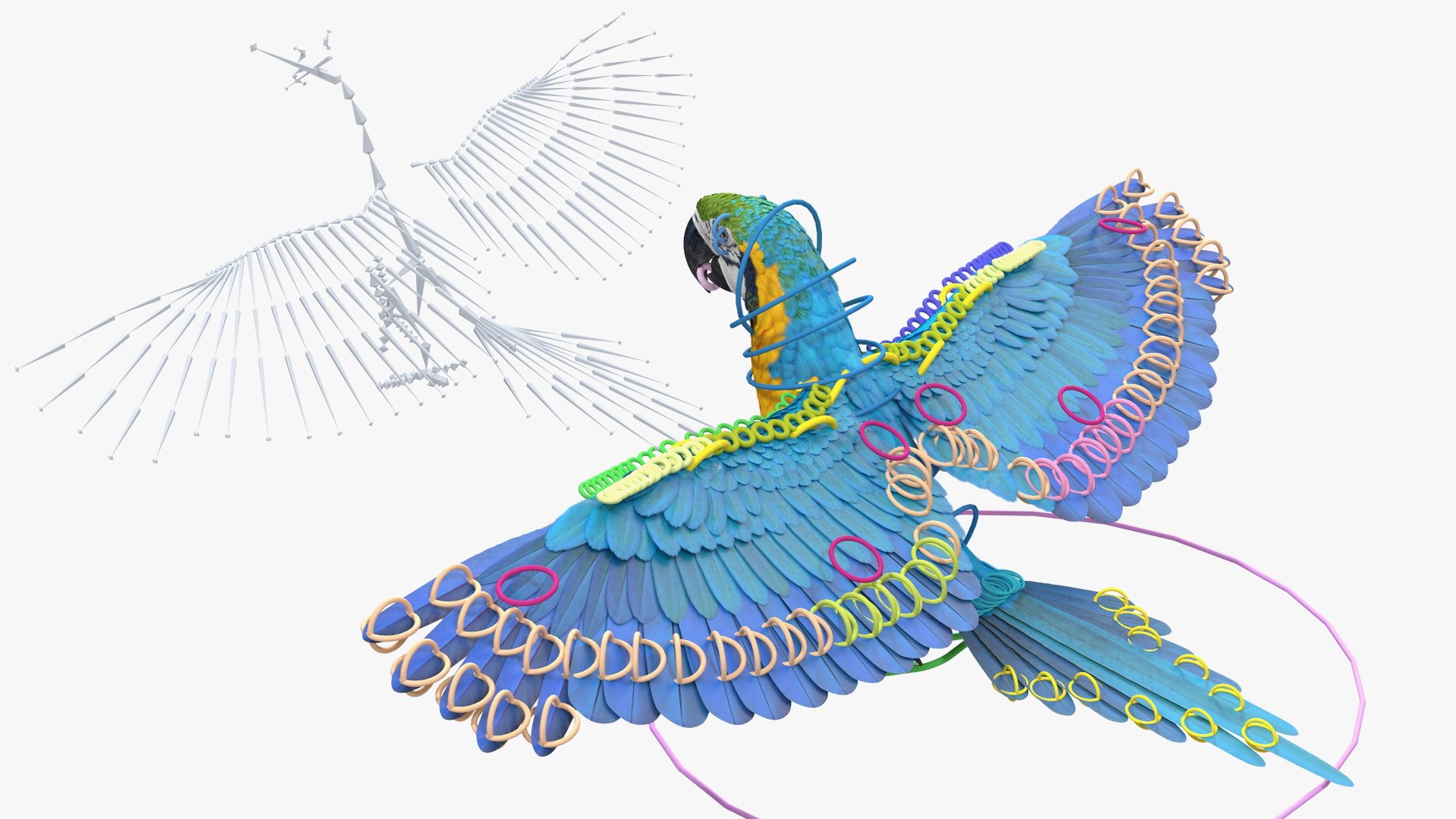 Rigged Birds Collection 4 3D model https://p.turbosquid.com/ts-thumb/Fa/es2qtE/LS/riggedbirdscollection4mb3dmodel040/jpg/1672314956/1920x1080/fit_q87/56a43c11d1352a8041774b826bdf1fc5be9f2522/riggedbirdscollection4mb3dmodel040.jpg