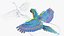Collection d'oiseaux truqués 4