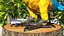 Collection d'oiseaux truqués 4