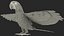 Collection d'oiseaux truqués 4