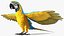 Collection d'oiseaux truqués 4