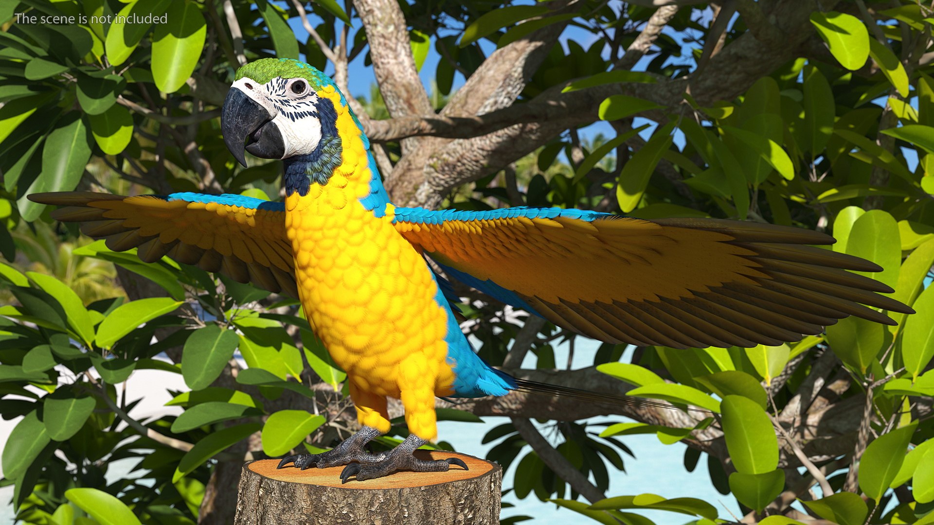 Rigged Birds Collection 4 3D model https://p.turbosquid.com/ts-thumb/Fa/es2qtE/Vi/riggedbirdscollection4mb3dmodel026/jpg/1672314913/1920x1080/fit_q87/dcda7c1f93f76fa35903871dac6a2d9ff4fa589d/riggedbirdscollection4mb3dmodel026.jpg
