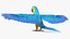 Collection d'oiseaux truqués 4