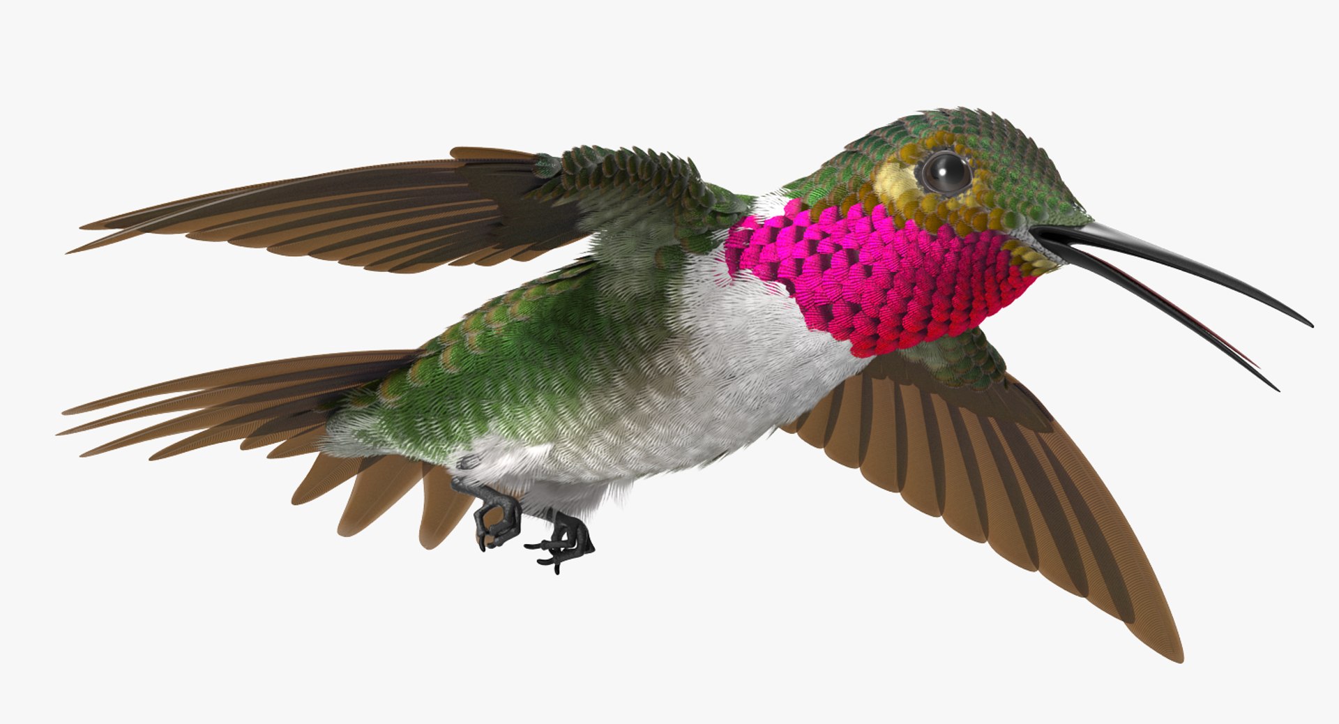 Rigged Birds Collection 4 3D model https://p.turbosquid.com/ts-thumb/Fa/es2qtE/Wx/riggedbirdscollection4mb3dmodel090/jpg/1672315106/1920x1080/fit_q87/e907198e531f0a15b03eb74f46200cc80d0cec46/riggedbirdscollection4mb3dmodel090.jpg