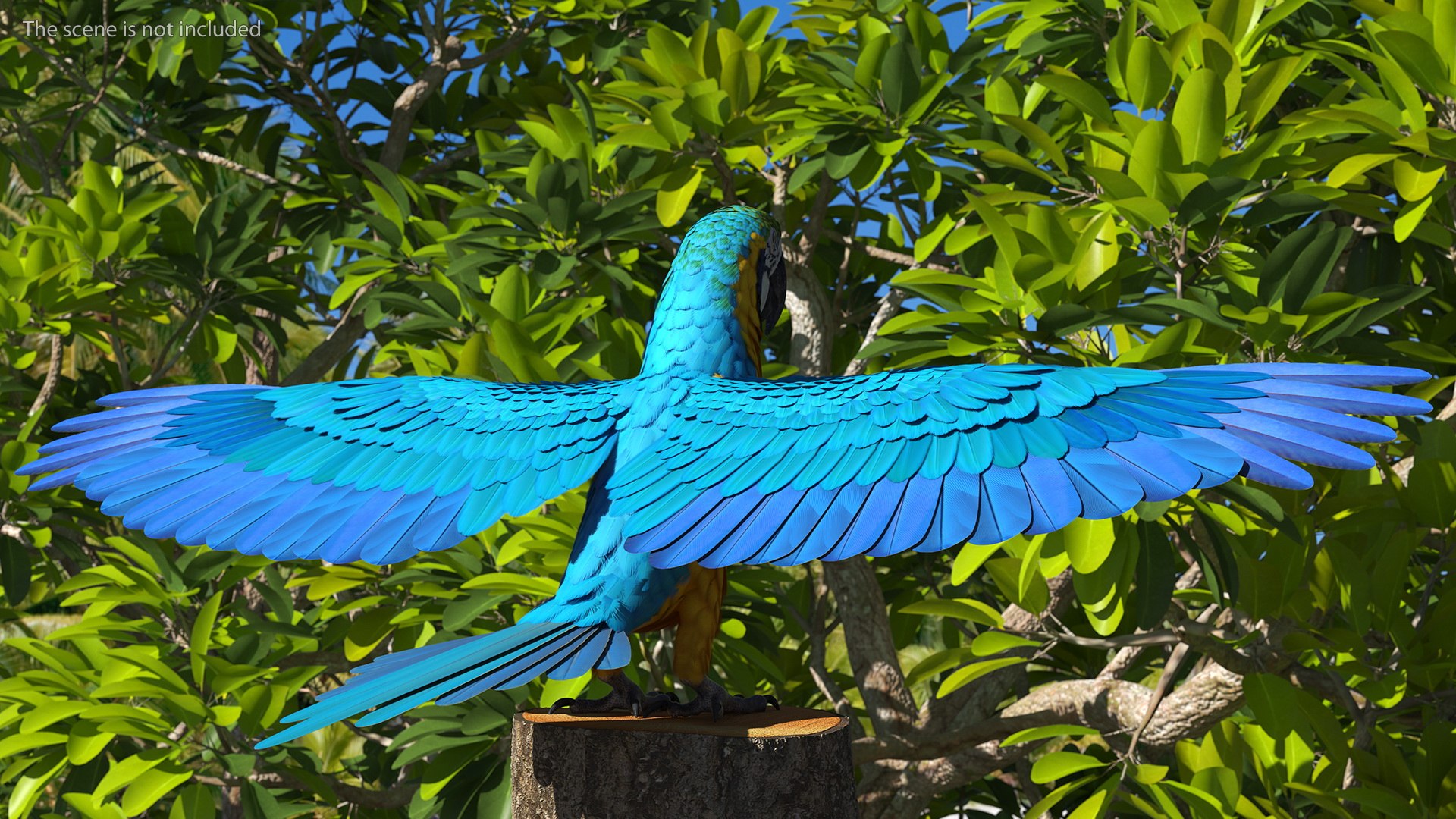 Rigged Birds Collection 4 3D model https://p.turbosquid.com/ts-thumb/Fa/es2qtE/Yb/riggedbirdscollection4mb3dmodel029/jpg/1672314922/1920x1080/fit_q87/e29d2b33cc3faf8ce7c34cab5edec849dd4e033e/riggedbirdscollection4mb3dmodel029.jpg