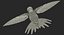 Collection d'oiseaux truqués 4