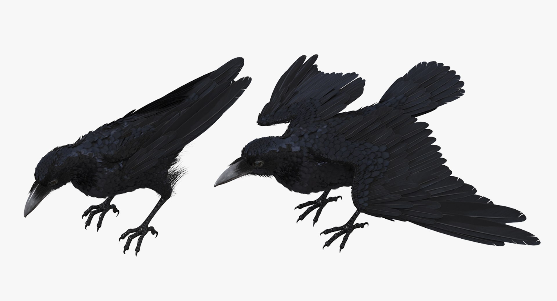 Rigged Birds Collection 4 3D model https://p.turbosquid.com/ts-thumb/Fa/es2qtE/Zp/riggedbirdscollection4mb3dmodel081/jpg/1672315079/1920x1080/fit_q87/f77bce226b25615ad13e0e3014dc874f09e9fc69/riggedbirdscollection4mb3dmodel081.jpg