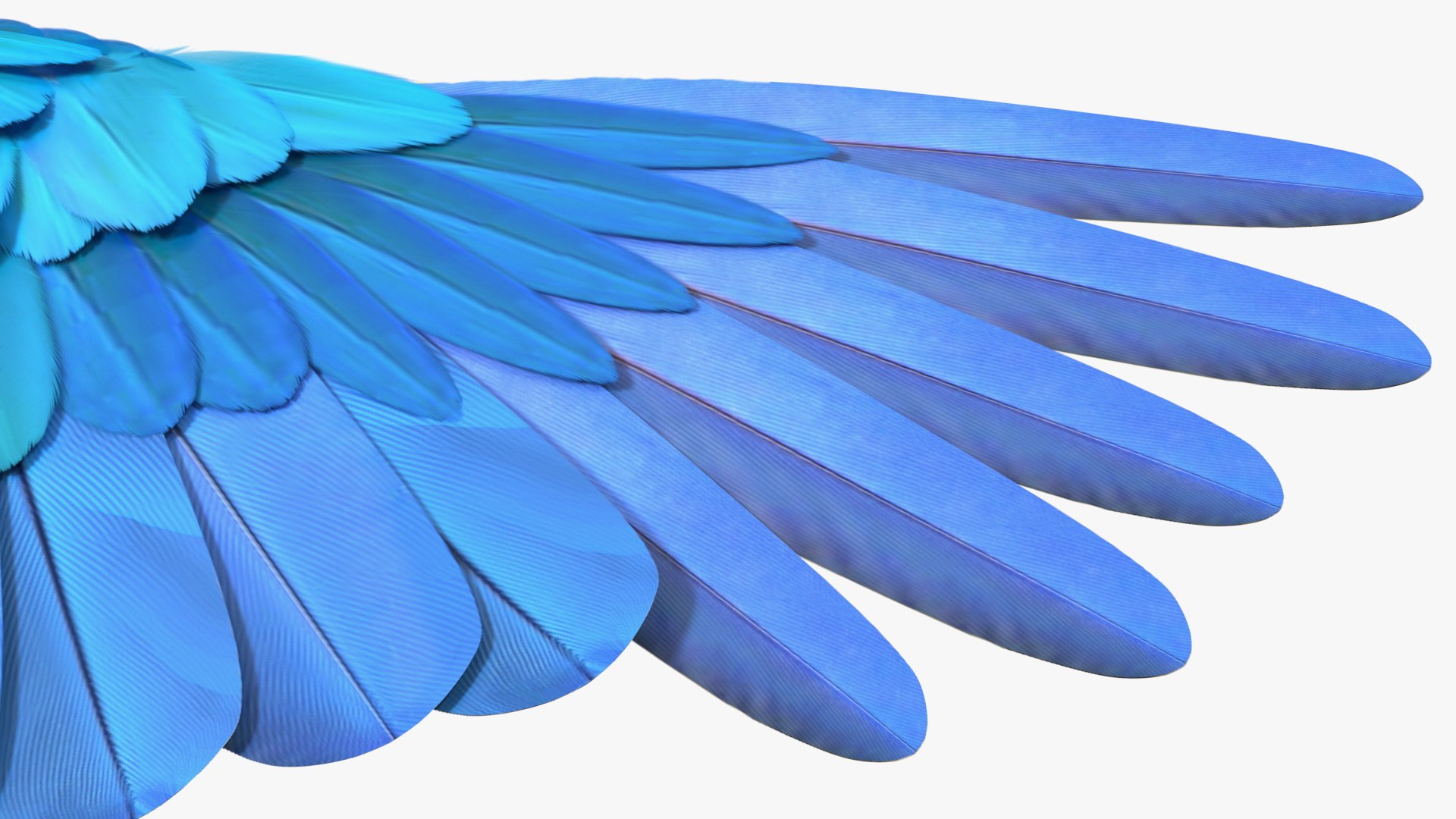 Rigged Birds Collection 4 3D model https://p.turbosquid.com/ts-thumb/Fa/es2qtE/cE/riggedbirdscollection4mb3dmodel046/jpg/1672314974/1920x1080/fit_q87/8a8f5e60393329b8ae4a29186ec5f55b2422c90c/riggedbirdscollection4mb3dmodel046.jpg