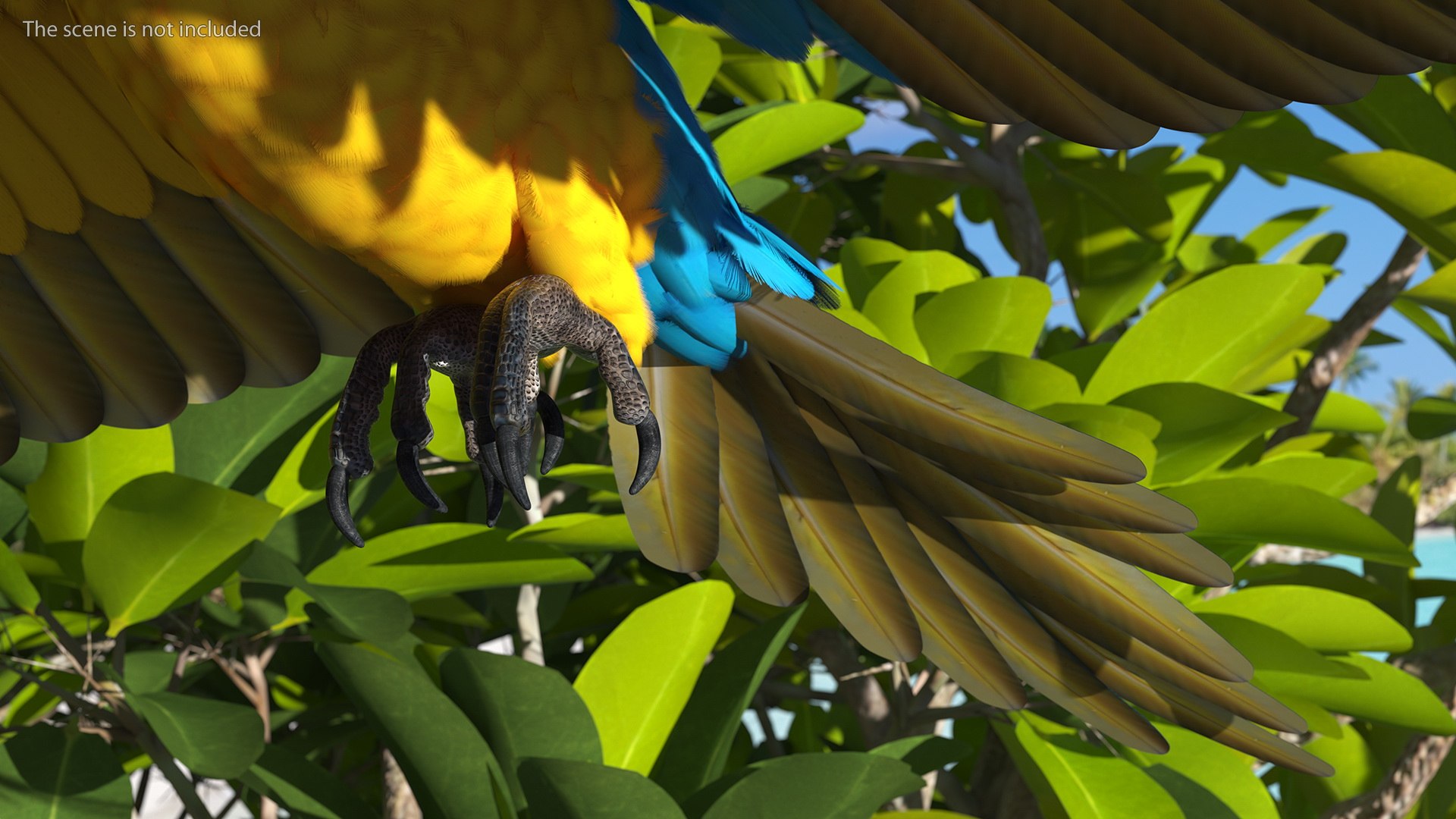 Rigged Birds Collection 4 3D model https://p.turbosquid.com/ts-thumb/Fa/es2qtE/i7/riggedbirdscollection4mb3dmodel035/jpg/1672314941/1920x1080/fit_q87/a77bbcbf9943e44d68660d13e27b3cb31d3ade74/riggedbirdscollection4mb3dmodel035.jpg