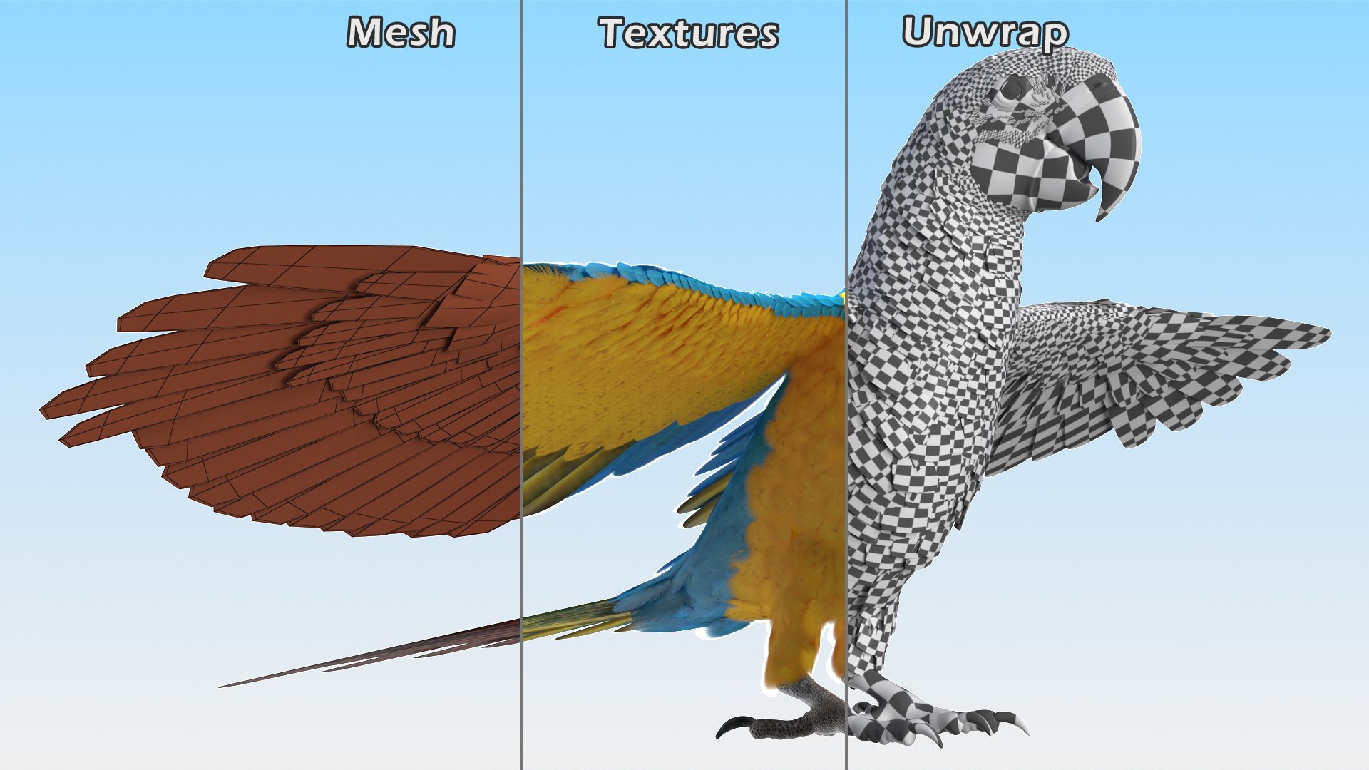 Rigged Birds Collection 4 3D model https://p.turbosquid.com/ts-thumb/Fa/es2qtE/nf/riggedbirdscollection4mb3dmodel038/jpg/1672314950/1920x1080/fit_q87/91ea6eceb774b3bb0090e1146ac64d906d19895a/riggedbirdscollection4mb3dmodel038.jpg