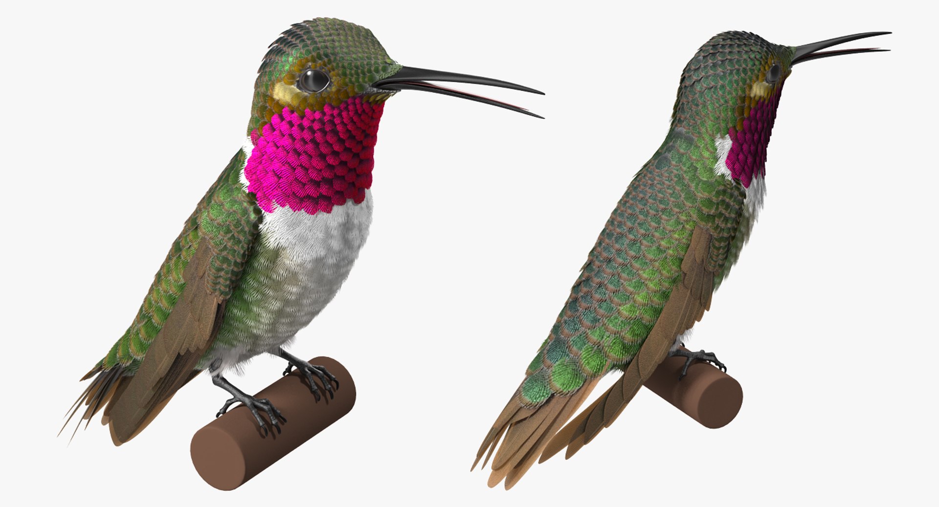Rigged Birds Collection 4 3D model https://p.turbosquid.com/ts-thumb/Fa/es2qtE/tO/riggedbirdscollection4mb3dmodel094/jpg/1672315118/1920x1080/fit_q87/cf49aa7045399f9b81a19c9a70b801a3938c5836/riggedbirdscollection4mb3dmodel094.jpg