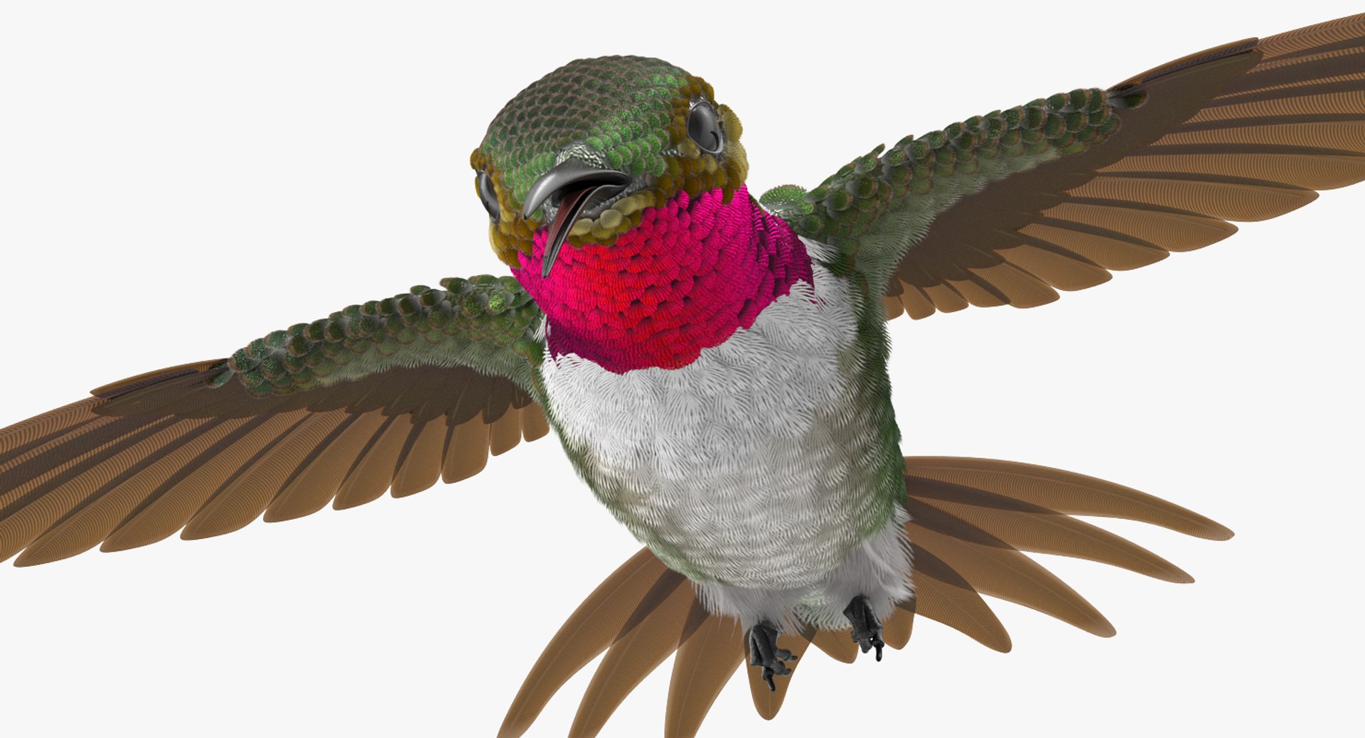 Rigged Birds Collection 4 3D model https://p.turbosquid.com/ts-thumb/Fa/es2qtE/w5/riggedbirdscollection4mb3dmodel093/jpg/1672315115/1920x1080/fit_q87/df5b18af49f13e16ef7287fa740d0ad0632f11c0/riggedbirdscollection4mb3dmodel093.jpg