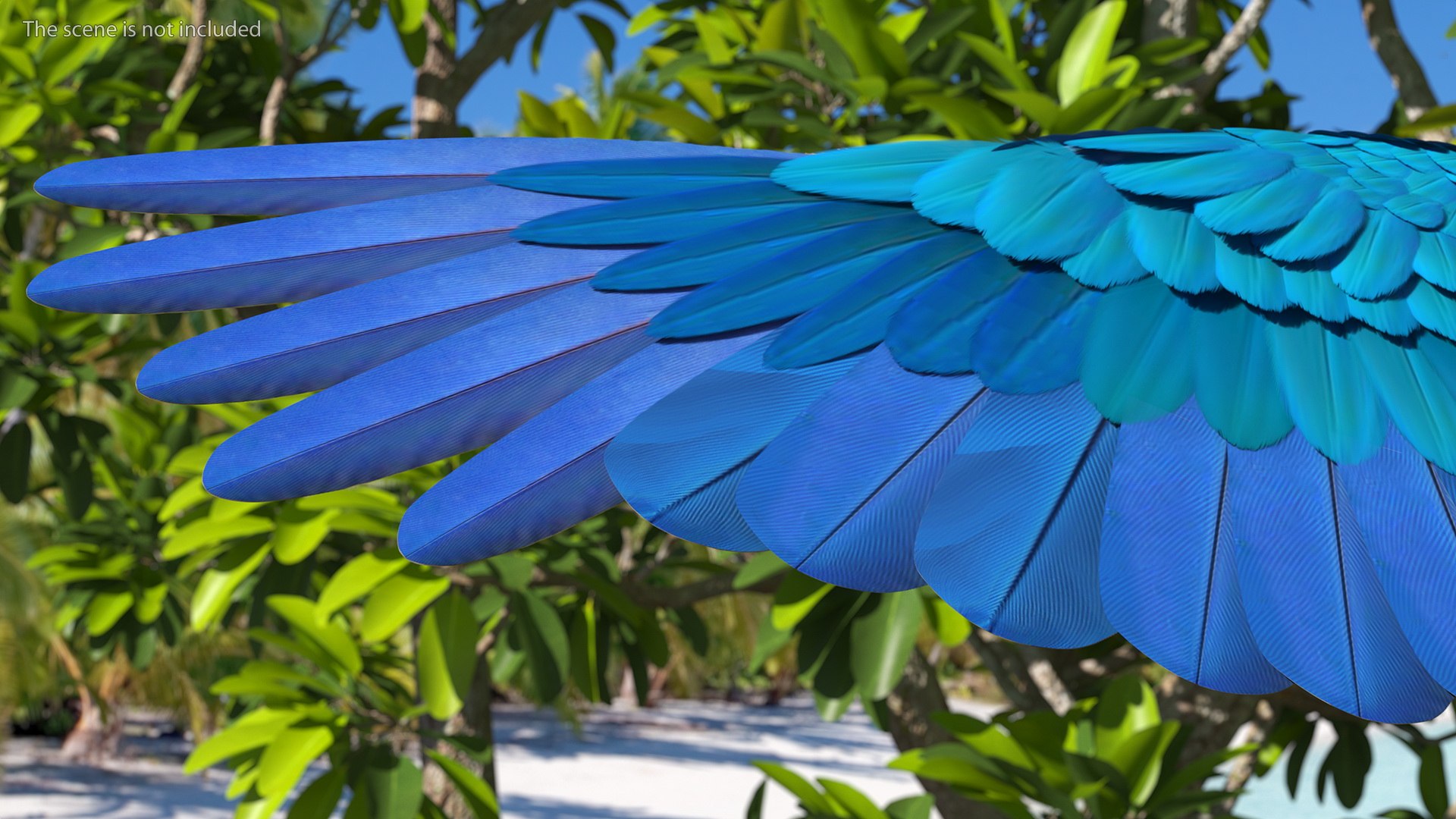 Rigged Birds Collection 4 3D model https://p.turbosquid.com/ts-thumb/Fa/es2qtE/wF/riggedbirdscollection4mb3dmodel036/jpg/1672314944/1920x1080/fit_q87/5d8582144646254f243781d88ae632460da1c6ad/riggedbirdscollection4mb3dmodel036.jpg