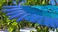 Collection d'oiseaux truqués 4