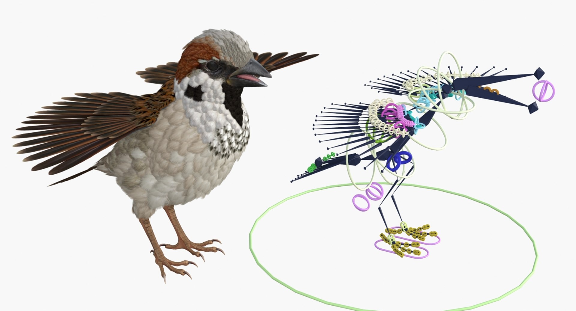 Rigged Birds Collection 4 3D model https://p.turbosquid.com/ts-thumb/Fa/es2qtE/x0/riggedbirdscollection4mb3dmodel065/jpg/1672315031/1920x1080/fit_q87/6b740aa7f2544501745404d5797d1ad3808bf967/riggedbirdscollection4mb3dmodel065.jpg