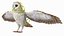 Collection d'oiseaux truqués 4