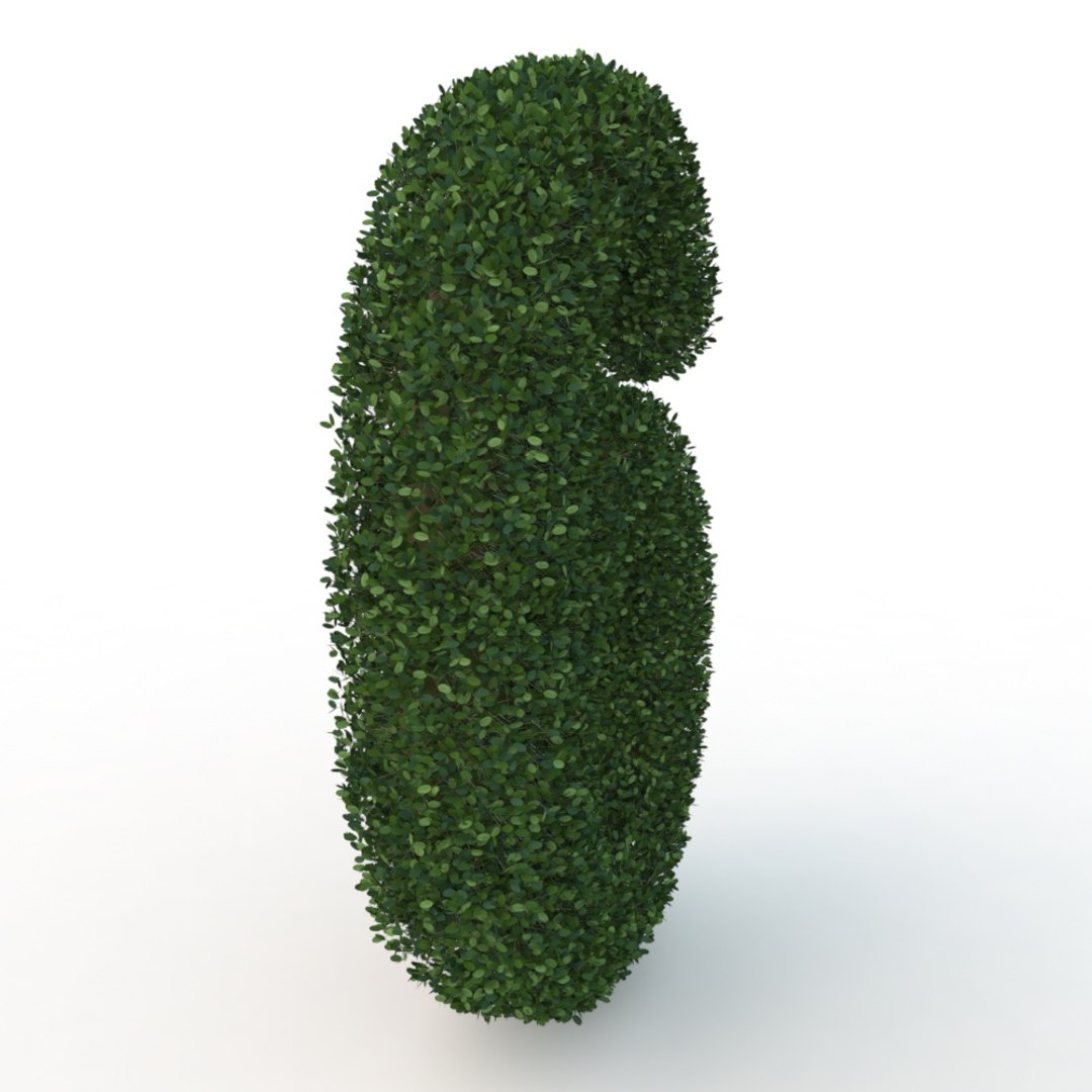 3D model 6 hedge https://p.turbosquid.com/ts-thumb/Fa/fKdbyE/Oe46kyF1/010038/jpg/1569624728/1920x1080/fit_q87/7a3cf56510579d552b758803fd1e47aeef515e86/010038.jpg