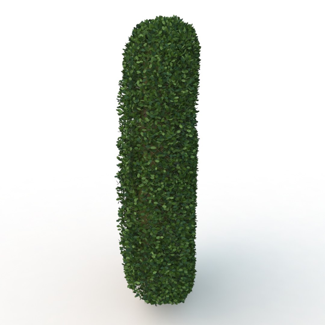 3D model 6 hedge https://p.turbosquid.com/ts-thumb/Fa/fKdbyE/aMVh92Ij/010036/jpg/1569624728/1920x1080/fit_q87/1ea111b35283a0f544133b2f3dc37684858a3f23/010036.jpg