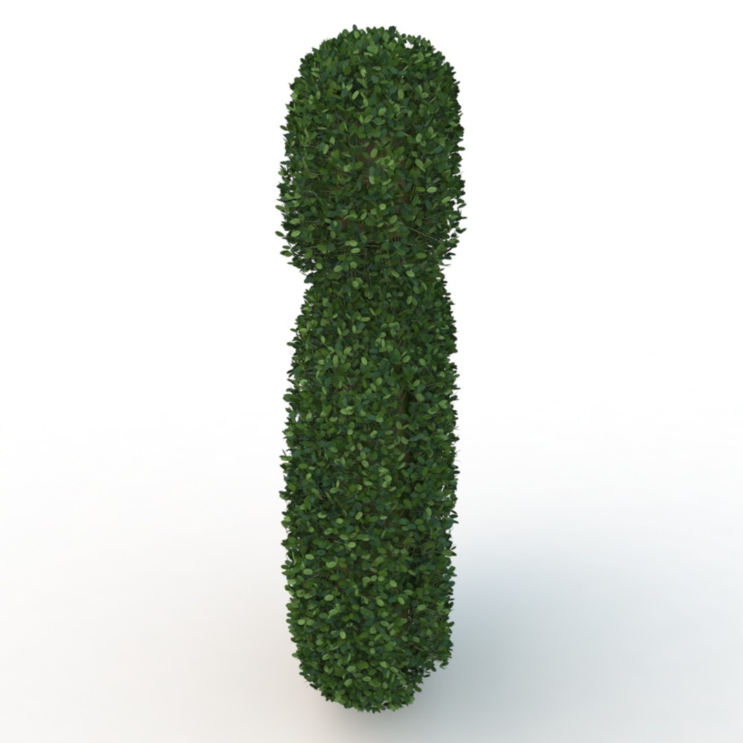 3D model 6 hedge https://p.turbosquid.com/ts-thumb/Fa/fKdbyE/qEE19j2O/010012/jpg/1569624728/1920x1080/fit_q87/3e9e589e363b2679cb9d3fb6d05d2741c9bead2b/010012.jpg