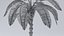 Cartoon Palm Tree model