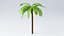 Cartoon Palm Tree model