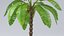 Cartoon Palm Tree model