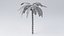 Cartoon Palm Tree model