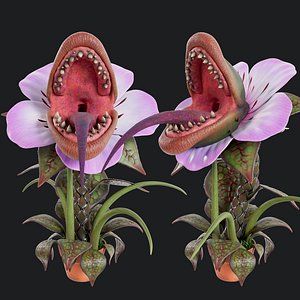 Carnivorous Plant