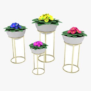 3D acaulis flower
