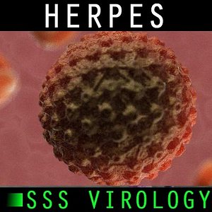 3d herpes simplex model