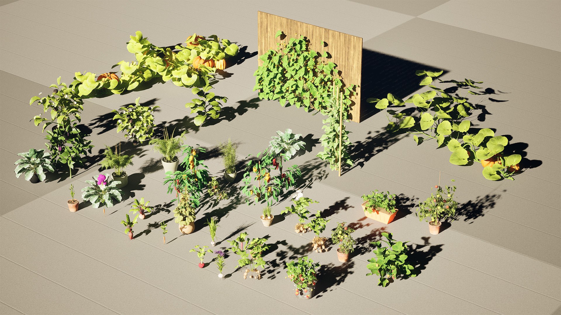 Vegetable Plant 3D Collection model https://p.turbosquid.com/ts-thumb/Fb/Jqvh18/8l/highresscreenshot00012/jpg/1740608017/1920x1080/fit_q87/6bca775e576ac3e26c17674ccbc7eedbfd39994b/highresscreenshot00012.jpg