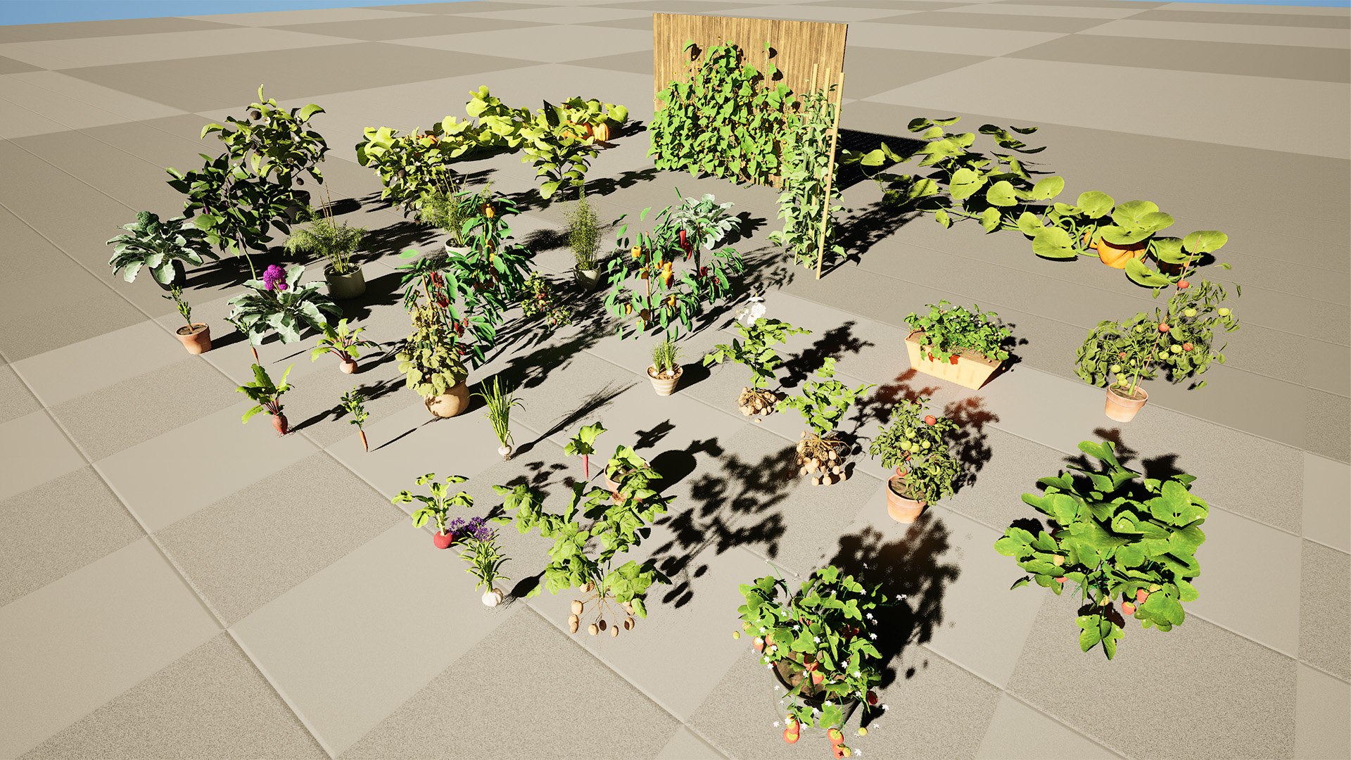 Vegetable Plant 3D Collection model https://p.turbosquid.com/ts-thumb/Fb/Jqvh18/CO/highresscreenshot00013/jpg/1740608016/1920x1080/fit_q87/48eb92e22e7a3ec365e219324492eef8a06f0d29/highresscreenshot00013.jpg