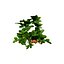 Vegetable Plant 3D Collection