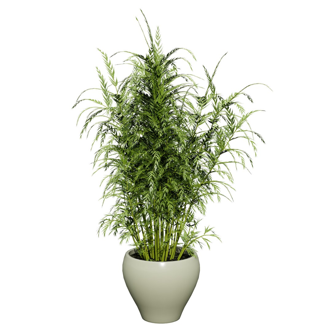 Vegetable Plant 3D Collection model https://p.turbosquid.com/ts-thumb/Fb/Jqvh18/IN/stemsproutsasparagusplant4/jpg/1740608056/1920x1080/fit_q87/fc6da00f66c0c4535aa77a0c28d87aa083419d0e/stemsproutsasparagusplant4.jpg