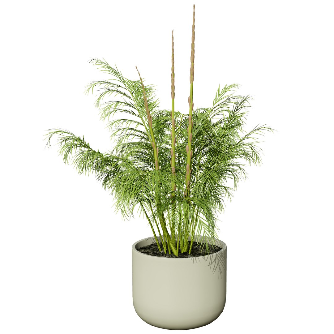 Vegetable Plant 3D Collection model https://p.turbosquid.com/ts-thumb/Fb/Jqvh18/Rs/stemsproutsasparagusplant3/jpg/1740608055/1920x1080/fit_q87/9e75fa62500ed750c0f3a185bb749b9d4b5dfef9/stemsproutsasparagusplant3.jpg
