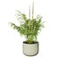 Vegetable Plant 3D Collection