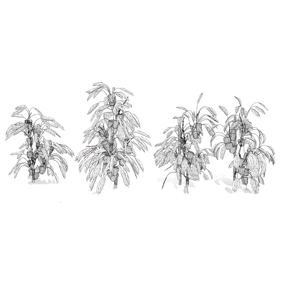 Vegetable Plant 3D Collection model https://p.turbosquid.com/ts-thumb/Fb/Jqvh18/Sb/realistic3dcapsicumplant5/jpg/1740608178/1920x1080/fit_q87/6cea43088c845b10ec08db383909ccfe1e0361ec/realistic3dcapsicumplant5.jpg