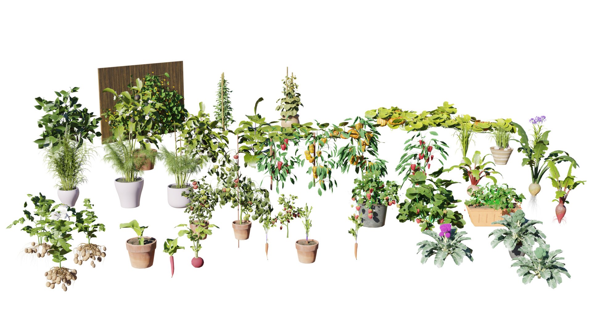 Vegetable Plant 3D Collection model https://p.turbosquid.com/ts-thumb/Fb/Jqvh18/VK/02/jpg/1740608014/1920x1080/fit_q87/9559b7a32773e6def53f95d34dddc3336e0ff99d/02.jpg